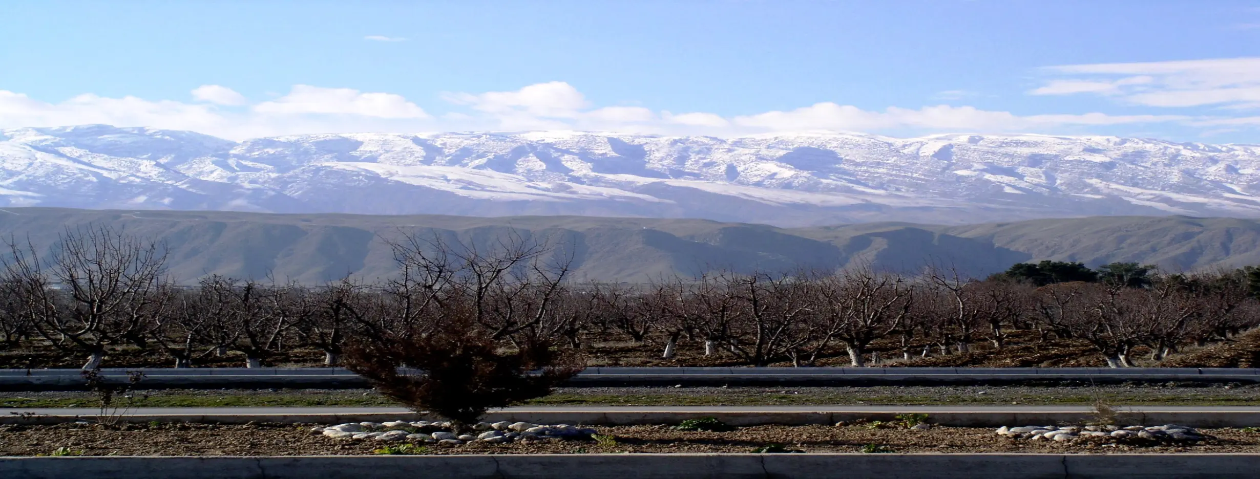 Image for Kopet Dag Mountains